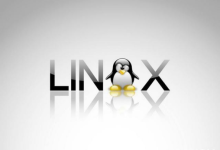 如何在Linux服务器上进行关机操作?-网硕互联帮助中心