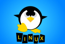 Linux 云服务器好用吗?(解读Linux云服务器的特点优势)-网硕互联帮助中心