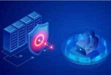 香港服务器如何防御DDoS攻击，香港服务器的DDoS防护技术-网硕互联帮助中心