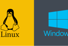 Windows与 Linux 云服务器:解释差异-网硕互联帮助中心