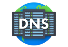 如何搭建DNS服务器？-网硕互联帮助中心