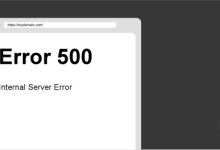 遇到网站500内部服务器错误如何修复它？-网硕互联帮助中心
