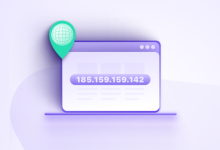 相比于一般的香港服务器,香港站群服务器配置有什么特别的地方-网硕互联帮助中心