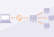 海外店群搭建:选择多IP服务器的理由-网硕互联帮助中心