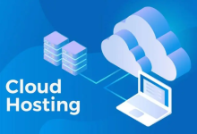 美国10大VPS有哪些?值得推荐的美国十大VPS-网硕互联帮助中心