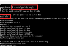 ubuntu系统怎么修改ssh端口-网硕互联帮助中心