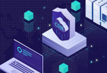 提升网站速度,选择香港高防CDN!-网硕互联帮助中心