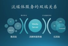 流媒体专用服务器租用应该考虑哪些-网硕互联帮助中心
