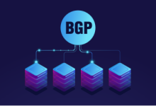 美国BGP服务器有哪些优势?-网硕互联帮助中心