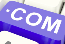 如何将域名正确解析到香港服务器上?-网硕互联帮助中心