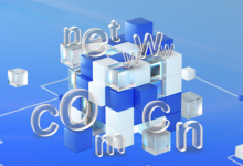 .work域名注册能备案吗-网硕互联帮助中心