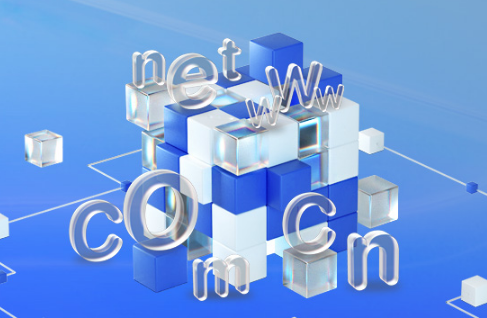 work域名注册能备案吗