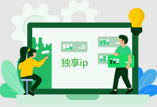 网站服务器使用独享IP的好处-网硕互联帮助中心