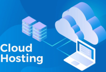 选择美国云服务器的利与弊:性价比、稳定性、安全性对比分析-网硕互联帮助中心