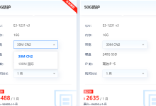 美国高防服务器带宽大吗?-网硕互联帮助中心