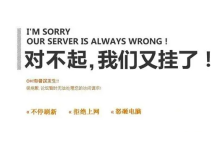 香港轻量应用服务器网站崩溃的原因有哪些-网硕互联帮助中心