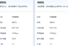 香港轻量应用服务器买哪个配置的比较好-网硕互联帮助中心