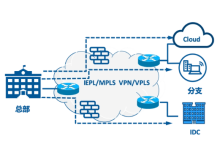 iepl专线是什么?有什么作用-网硕互联帮助中心