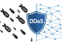 高防vps服务器是什么?租用高防vps服务器的优势-网硕互联帮助中心