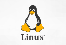 linux云主机怎么使用,linux云主机操作教程-网硕互联帮助中心