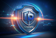 高防IP怎么用？高防IP的使用方法-网硕互联帮助中心