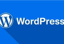 wordpress主机选择哪个好-网硕互联帮助中心