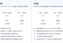 香港私人vps租用推荐-网硕互联帮助中心