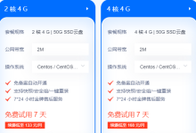 有哪些免费的海外服务器推荐-网硕互联帮助中心