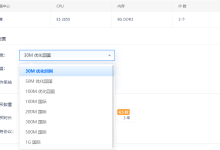 海外服务器优化回国线路和国际线路选哪个好-网硕互联帮助中心