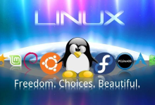 服务器哪个系统比较稳定-网硕互联帮助中心