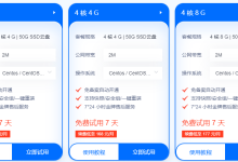 有哪些提供美国云主机免费试用服务-网硕互联帮助中心