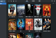影视网站为什么都租用免备案服务器-网硕互联帮助中心