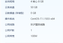 国内大带宽vps租用推荐-网硕互联帮助中心