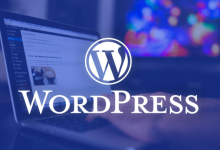 wordpress跨境电商服务器选择-网硕互联帮助中心