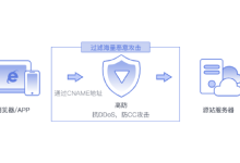 哪些DDoS防护服务可以提供定制化防御策略?-网硕互联帮助中心