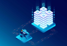 站群服务器的IP如何配置和管理?-网硕互联帮助中心