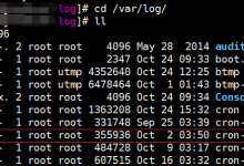 香港服务器日志一般放在哪个文件夹-网硕互联帮助中心
