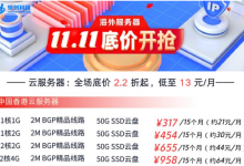 双11香港云服务器主要供应商有哪些-网硕互联帮助中心