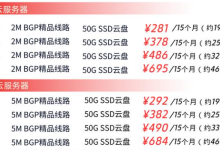 国内双11怎么买国外服务器便宜-网硕互联帮助中心