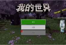 MC服务器8G内存能带多少人，怎么参考-网硕互联帮助中心