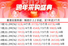 2025年租用海外云服务器一个月多少钱-网硕互联帮助中心
