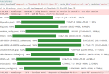 【DeepSeek部署实战】DeepSeek-R1-Distill-Qwen-7B:基于vLLM 搭建高性能推理服务器-网硕互联帮助中心