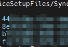 [服务器][教程]Ubuntu24.04 Server开机自动挂载硬盘教程-网硕互联帮助中心