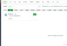 RustDesk远程桌面服务器、API服务器、WebUI管理页搭建及Windows端开机自启设置-网硕互联帮助中心