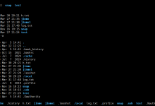 Linux 指令初探：开启终端世界的大门-网硕互联帮助中心