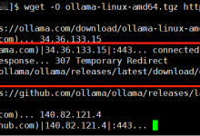 (超详细教程)没有sudo权限,在服务器安装ollama,下载qwen2模型,python代码测试-网硕互联帮助中心