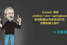 【Linux】使用Jenkins + svn + springboot自动构建jar包并自动打包在服务器上运行-网硕互联帮助中心