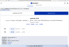 【华为欧拉】国产OpenEuler服务器系统安装以及图形界面-网硕互联帮助中心