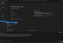 【VScode】设置代理,通过代理连接服务器-网硕互联帮助中心