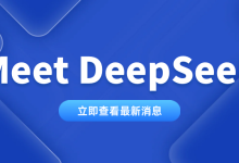 [Meet DeepSeek] 如何顺畅使用DeepSeek？告别【服务器繁忙，请稍后再试。】-网硕互联帮助中心